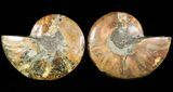 Sliced Fossil Ammonite Pair - Crystal Chambers #46499-1